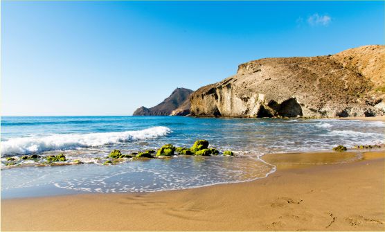 Una imagen tomada desde la playa con arena dorada y bañada por un mar azul que contrasta con varias colinas áridas y sin apenas vegetación que bordean la costa. Una ola con espuma blanca golpea suavemente unas rocas envueltas por algas de color verde intenso situadas sobre la arena mojada.