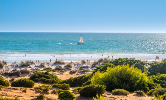 Hermosa fotografía de la playa de la Barrosa en Chiclana de la Frontera en la que se ve un mar apacible con un velero navegando en el centro de la imagen. Se ven personas paseando por la orilla y niños junto con algún adulto jugando en el agua. En el primer plano de la imagen podemos ver arena y tierra con algunos matorrales de color verde intenso.