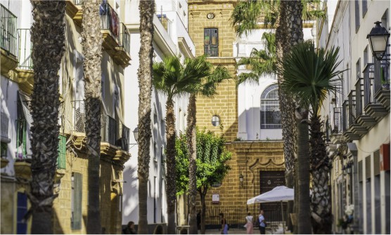 Vista de una calle peatonal del centro de la ciudad de Cádiz, en la que hay edificios a ambos lados de la calle con altas palmeras y en el fondo un campanario de una iglesia construido con ladrillo a la vista.