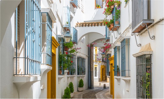 Pintoresca calle peatonal estrecha con edificios encalados a ambos lados. Las Ventanas tiene verjas de hierro pintadas mayoritariamente en color azul claro. Los marcos de las puertas son de color amarillo intenso que contrasta con el blanco de las fachadas. Una de las casas de ambos lados de la calle se conecta mediante una pasarela que cruza la calle. El pavimento está formado por baldosas empedradas. 