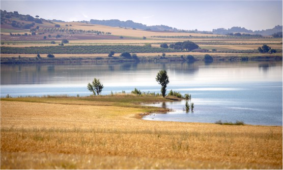 Idílico paisaje estival del embalse de Alarcón en Cuenca, rodeado por campos de cultivo en tonos amarillentos y algunos arbustos en la orilla del embalse en el que se reflejan las nubes.  