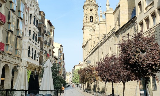 Vista de la ciudad de una calle estrecha del centro histórico de la ciudad de Logroño. En el margen derecho se encuentra la catedral con una hilera de árboles bajos, algunos con hojas verdes y otros moradas. Bajo la sombra de los árboles hay bancos para sentarse. En el margen izquierdo hay cafetería con sombrillas cerradas y edificios señoriales con bonitos invernaderos. Al fondo podemos ver el alto campanario de la catedral. 