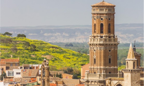 Torre de la catedral en el horizonte de la ciudad Tudela. La torre es un alto campanario que sobre sale por encima de todas las casas en un día soleado. Detrás de la ciudad se ve un prado verde sobre un montículo  y al fondo las montañas. 