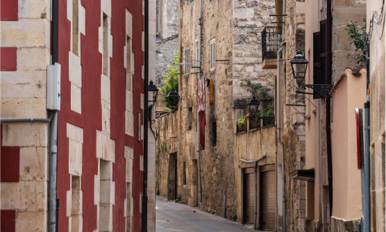 Estrecho y apacible callejón del pueblo medieval de Salvatierra. Un pintoresco lugar formado mayoritariamente por edificios de piedra antiguos, destacando sobre los demás y en primer plano un edificio señorial de color granate. 