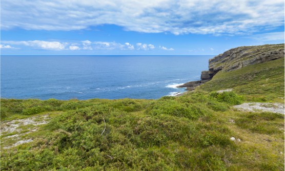 Imagen de los verdes acantilados del Parque Natural de Oyambre con vistas al mar cantábrico. Una imagen que evoca a la tranquilidad en un día con un mar en calma con un leve oleaje que choca con las rocas.  