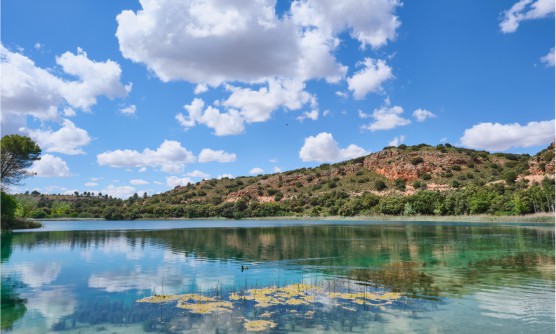 Vista panorámica de la Laguna en el Parque Natural de Las Lagunas de Ruidera en el que se reflejan las nubes del cielo y algunas algas sobre la superficie. Al fondo de la imagen se puede ver una pequeña colina con árboles y arbustos. 