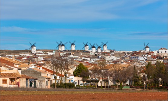 Vista panorámica de la localidad de Campo de Criptana con los famosos molinos de viento encalados y grandes aspas en el fondo. En primer plano vemos varios árboles y tierra de cultivo todavía sin sembrar. 