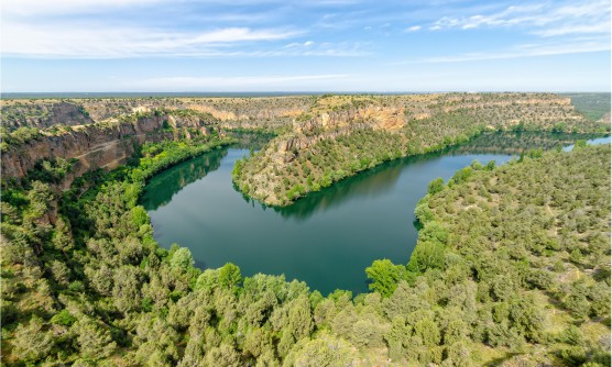 Imagen de las Hoces del río Duratón rodeado por una gran espesura de árboles entre altos acantilados con vistas al río Duratón con aguas mansas de una azul verdoso muy oscuro. 