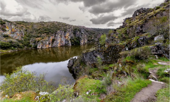 Imagen de Las Arribes del Duero tomada desde un sendero junto al río. Las altas paredes de rocas oscuras, salpicadas por una vegetación predominantemente formada por matorrales y musgo, se refleja en las aguas del río de tonos verdosos. El cielo está completamente cubierto por nubes blancas y grises que amenazan lluvia. 