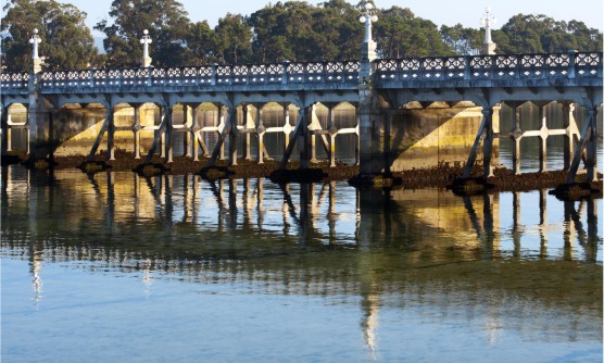 Imagen del puente que une la Isla de La Toja con la península, un puente que cruza el mar y por el que circulan vehículos. En cada lado del puente hay farolas blancas con 3 lámparas de forma esférica en cada una de ellas. En primer plano se ve el mar en el que se refleja la estructura del puente y al fondo de la imagen una zona arbolada. 