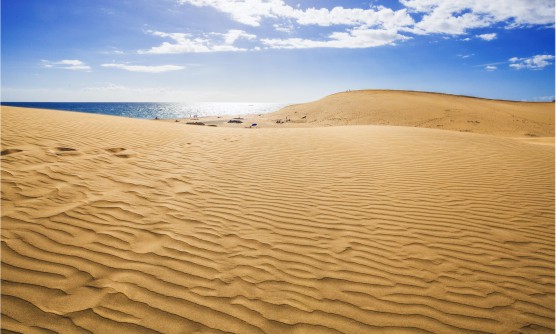 Vista de las dunas de la playa de Maspalomas. En las inmensas dunas de la playa se pueden ver las suaves ondas marcadas en la arena dorada como si fuesen olas de mar. Al fondo de la imagen se ve como asoma el mar cubierto por los rayos del sol. Junto a la orilla vemos  personas tomando el sol con alguna sombrilla y paseando. 