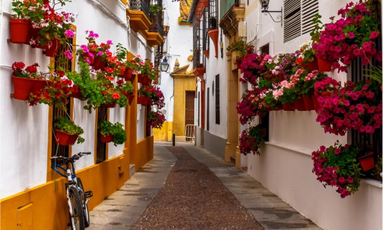 Hermosa calle de la ciudad de Córdoba con las molduras de las puertas y techo en color amarillo intenso. Los balcones y ventanas tienen barrotes de hierro y están llenos de macetas con muchas flores de color fucsia. En una de las ventanas está apoyada una bicicleta. 