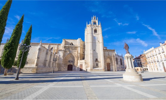 Fachada principal de la Catedral de San Antolín en Palencia, un edificio de estilo predominantemente gótico con una gran torre en la fachada principal y un reloj. Junto a la torre tenemos la nave principal de la iglesia. Esta se encuentra situada en una gran plaza con una estatua que nos da la espalda y mira hacia la catedral. En el lateral izquierdo vemos 3 cipreses. 