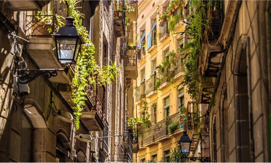 Imagen de una calle estrecha del barrio gótico de la ciudad de Barcelona. De muchas ventanas y balcones cuelgan macetas con plantas. Algunos balcones tienen estores exteriores que cubren incluso las barandillas de los balcones. Los mismos edificios cubren prácticamente toda la imagen sin apenas dejar ver el cielo azul. 