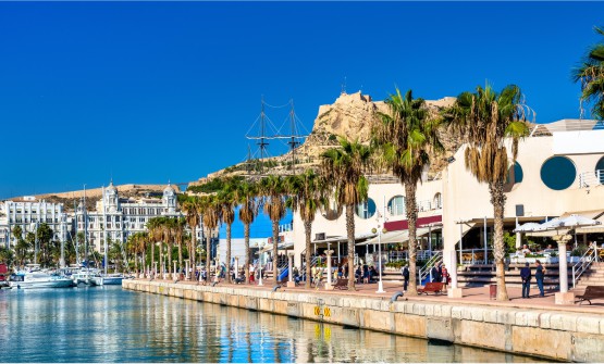 Paseo marítimo en la Marina de Alicante. Un zona peatonal con un largo paseo con Palmeras a orillas de mar. En el lado derecho del paseo hay restaurantes y comercios y personas pasando. Al final del paseo un gran edificio señorial blanco tapado parcialmente por las embarcaciones amarradas en el puerto. Al fondo de la imagen surge una montaña muy rocosa con antenas en la cima. 