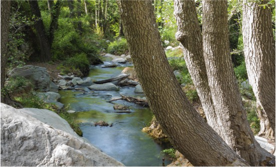 Imagen del Río Andarax en su nacimiento en Laujar. El río no lleva mucho caudal, pero el agua choca con fuerza sobre las rocas que se encuentran en medio del río en una zona muy verde y frondosa llena de árboles.