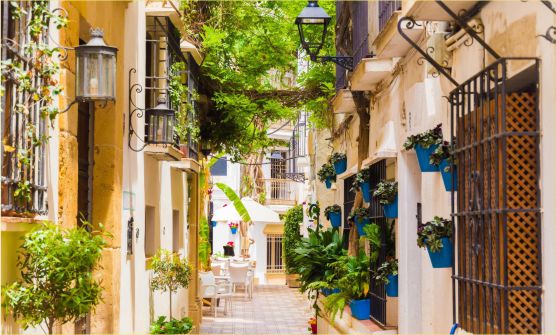 Calle peatonal de la ciudad de Marbella en un día soleado rodeada de viviendas con fachadas blancas y color mostaza, decoradas con farolas y macetas de color azul que resaltan con el verde intenso de las plantas.